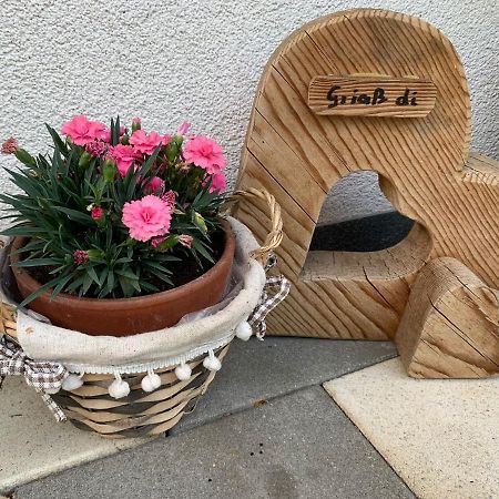 Apartment'S Haus Tegischer Neustift im Stubaital Zewnętrze zdjęcie